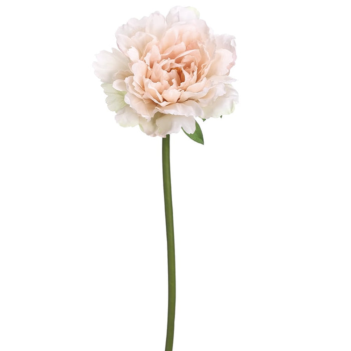 19" Peony Silk Flower Stem -Soft Pink (pack of 12) - FSP501-PK/SO