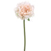 19" Peony Silk Flower Stem -Soft Pink (pack of 12) - FSP501-PK/SO