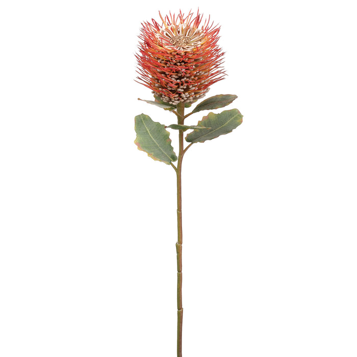 22" Protea Silk Flower Stem -Orange (pack of 12) - FSP570-OR