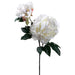 19.5" Silk Peony Flower Spray -Cream (pack of 12) - FSP705-CR