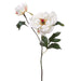 19.5" Silk Garden Peony Flower Spray -Cream (pack of 12) - FSP708-CR