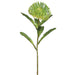 26" Silk Open Needle Protea Flower Spray -Green (pack of 12) - FSP752-GR