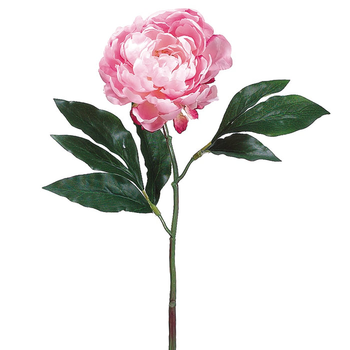 18.5" Silk Peony Flower Spray -2 Tone Pink (pack of 12) - FSP801-PK/TT