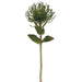 26" Silk Protea Flower Spray -Green (pack of 12) - FSP902-GR