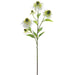 29" Rudbeckia Black-Eyed Susan Silk Flower Stem -White (pack of 12) - FSR119-WH