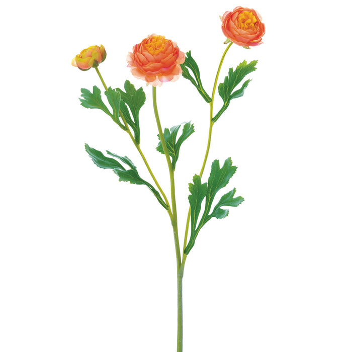 20" Ranunculus Silk Flower Stem -Orange (pack of 12) - FSR262-OR