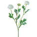 20" Ranunculus Silk Flower Stem -White (pack of 12) - FSR262-WH