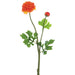 19" Silk Ranunculus Flower Spray -Orange (pack of 12) - FSR277-OR