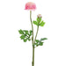 19" Silk Ranunculus Flower Spray -Pink/Cream (pack of 12) - FSR277-PK/CR