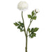 19" Silk Ranunculus Flower Spray -White (pack of 12) - FSR277-WH
