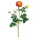 22" Silk Ranunculus Flower Spray -Orange (pack of 12) - FSR374-OR