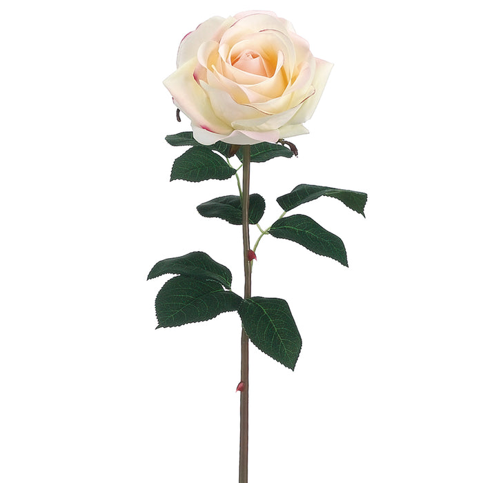20" Silk Real Touch Rose Flower Spray -Cream/Pink (pack of 12) - FSR421-CR/PK