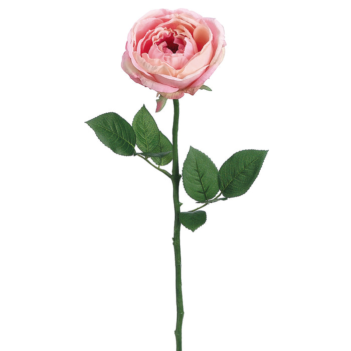23" Silk Garden Cabbage Rose Flower Spray -Peach/Cream (pack of 12) - FSR564-PE/CR