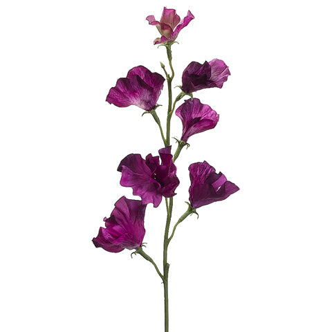 22" Silk Sweet Pea Flower Spray -Dark Orchid (pack of 12) - FSS831-OC/DK