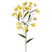 29" Silk Tweedia Flower Spray -Yellow (pack of 12) - FST322-YE