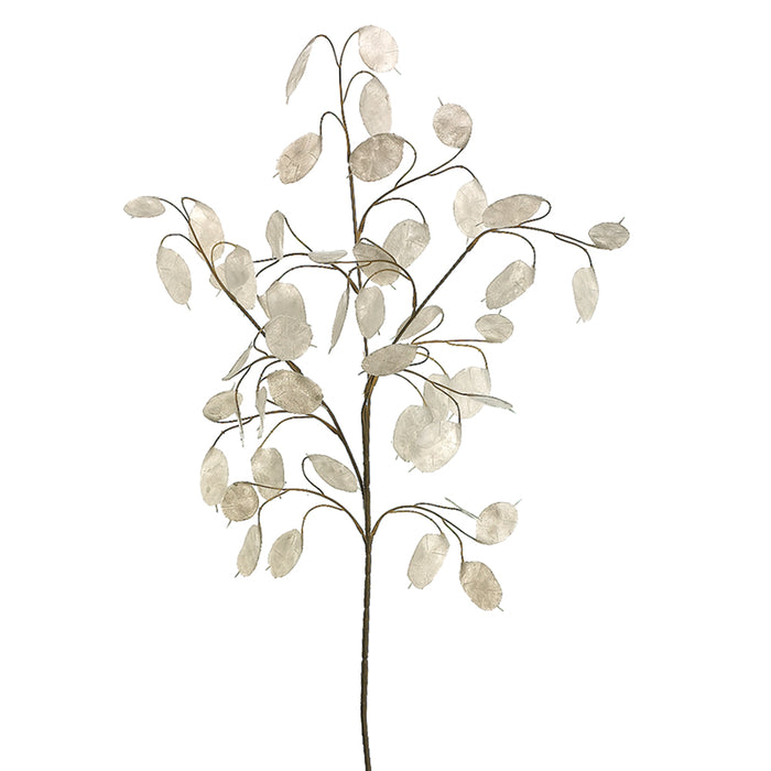 30" Silk Silver Dollar Lunaria Stem -White (pack of 12) - GSL758-WH