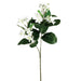 20.5" Stephanotis Silk Flower Stem -White (pack of 48) - GSS876-WH
