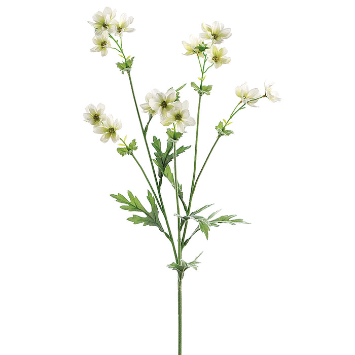 27.5" Silk Baby Cosmos Flower Spray -Cream (pack of 12) - GTC897-CR