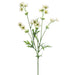 27.5" Silk Baby Cosmos Flower Spray -Cream (pack of 12) - GTC897-CR