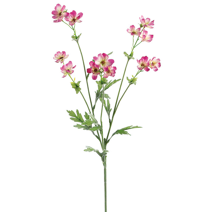 27.5" Silk Baby Cosmos Flower Spray -Fuchsia (pack of 12) - GTC897-FU