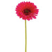 9" Silk Large Gerbera Daisy Flower Spray -Beauty (pack of 24) - GTD445-BT