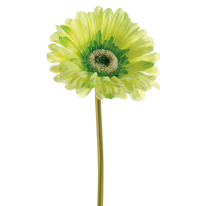 9" Silk Large Gerbera Daisy Flower Spray -Soft Green (pack of 24) - GTD445-GR/SO