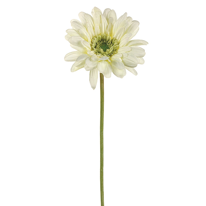 21.5" Silk Medium Gerbera Daisy Flower Spray -Cream (pack of 12) - GTD572-CR