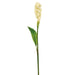 30" Silk Mini Ginger Flower Spray -Cream (pack of 12) - GTG373-CR