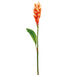 30" Silk Mini Ginger Flower Spray -Peach (pack of 12) - GTG373-PE