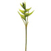 34" Silk Small Heliconia Flower Spray -Green (pack of 12) - GTH702-GR