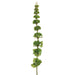 31" Silk Large Bells Of Ireland Flower Spray -Green (pack of 12) - GTI961-GR