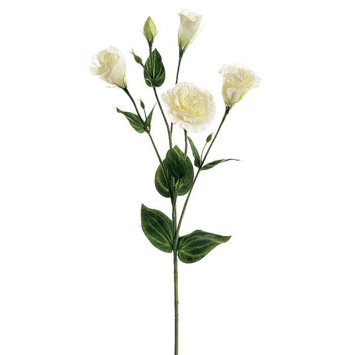 30" Silk Lisianthus Flower Spray -Cream/White (pack of 12) - GTL505-CR/WH