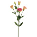 30" Silk Lisianthus Flower Spray -2 Tone Pink (pack of 12) - GTL505-PK/TT