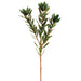 26" Silk Wild Protea Leaf Flower Spray -Green (pack of 12) - GTP335-GR