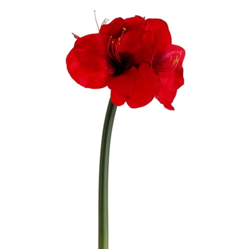 27" Handwrapped Silk Amaryllis Flower Spray -Red (pack of 12) - HSA006-RE