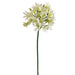 35" Handwrapped Silk Agapanthus Flower Spray -Cream (pack of 12) - HSA115-CR