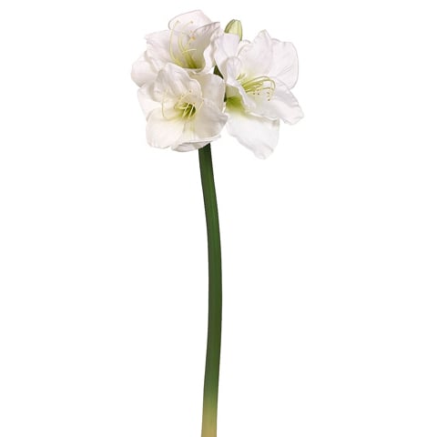29" Handwrapped Silk Amaryllis Flower Spray -White (pack of 6) - HSA432-WH