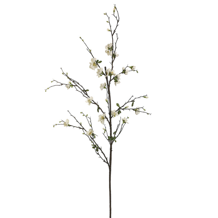 57" Handwrapped Silk Quince Blossom Flower Branch Spray -Cream (pack of 12) - HSB253-CR