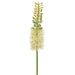 35" Handwrapped Silk Eremurus Foxtail Lily Flower Spray -Cream (pack of 12) - HSE553-CR