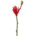 38" Handwrapped Silk Banana Flower Spray -Orange/Red (pack of 12) - HSF165-OR/RE