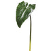 34" Silk Calla Lily Leaf Stem -Green (pack of 12) - HSL013-GR