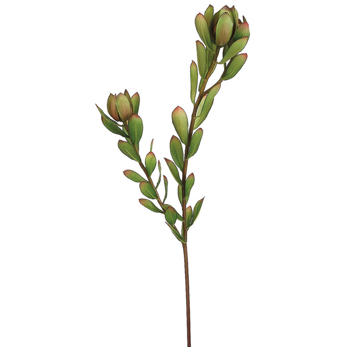 24" Handwrapped Silk Mini Leucadendron Protea Flower Spray -Green/Burgundy (pack of 12) - HSL145-GR/BU