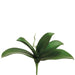 10" Silk Phalaenopsis Orchid Leaf Plant Stem -Green (pack of 12) - HSL212-GR
