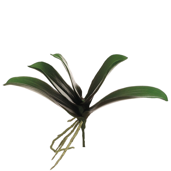 9" Silk Phalaenopsis Orchid Leaf Plant Stem -Green/Burgundy (pack of 12) - HSL260-GR/BU