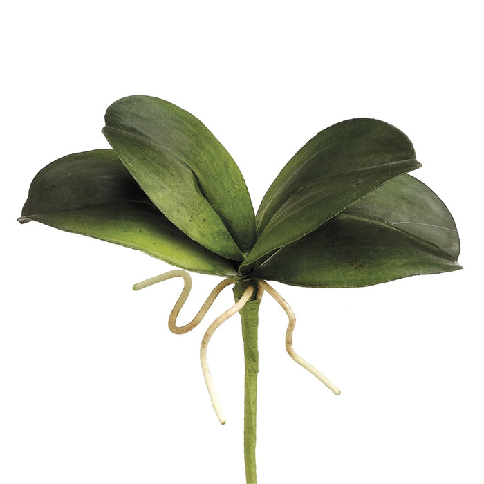 8" Silk Mini Phalaenopsis Orchid Leaf Plant Stem -Green (pack of 12) - HSL535-GR