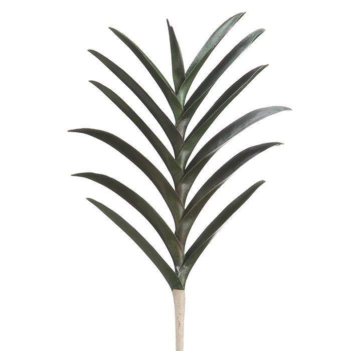 10" Silk Vanda Orchid Leaf Plant Stem -Green (pack of 12) - HSL676-GR