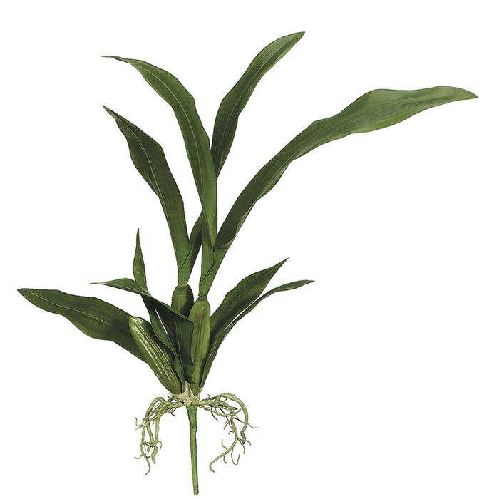 23" Silk Oncidium Orchid Leaf Plant Stem -Green (pack of 12) - HSO195-GR