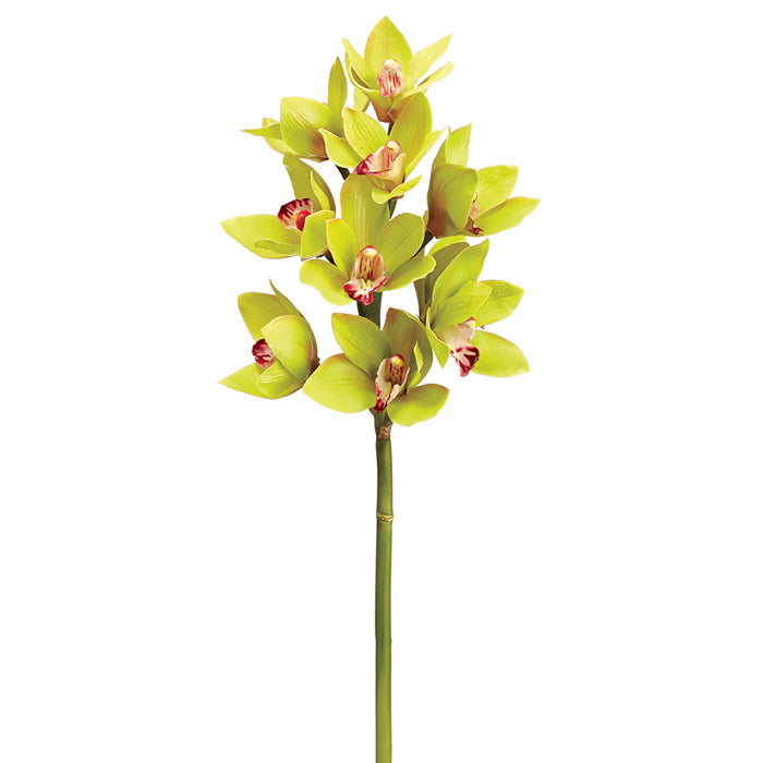 23" Handwrapped Cymbidium Orchid Silk Flower Stem -Green (pack of 12) - HSO502-GR