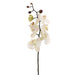 28" Handwrapped Silk Phalaenopsis Orchid Flower Spray -Cream/Pink (pack of 6) - HSO813-CR/PK