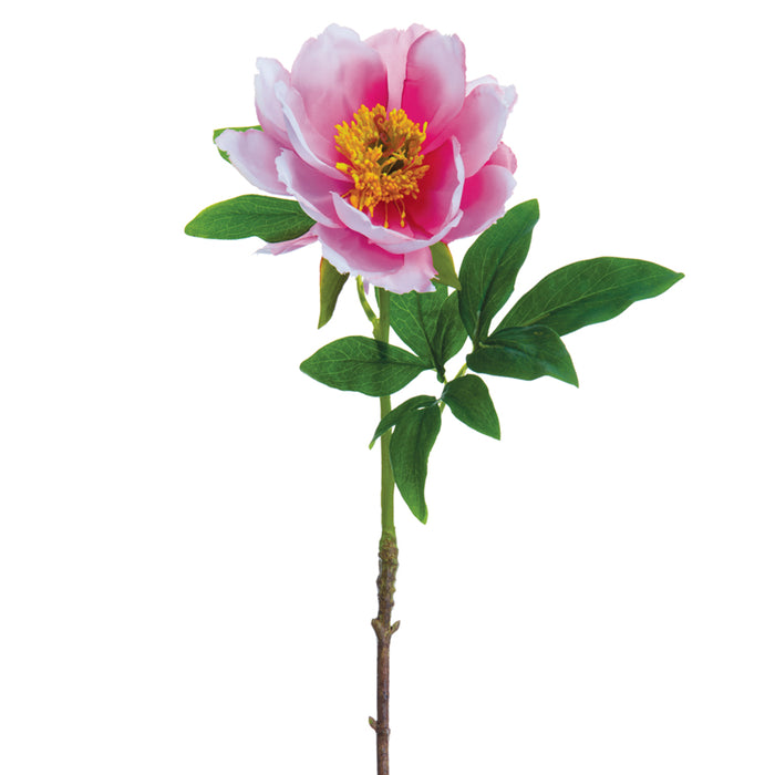 22" Handwrapped Peony Silk Flower Stem -Fuchsia/Pink (pack of 12) - HSP901-FU/PK